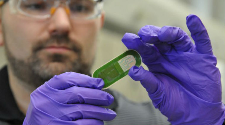  wristband-type wearable device, sweat diagnosis, measure molecular constituents, old fashioned sweat collectors, flexible sensors, Science, Science news