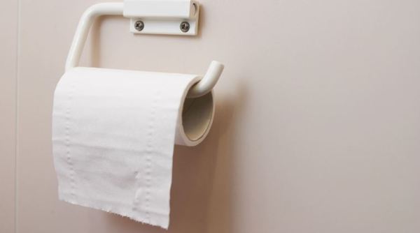Consumers' use of toilet paper wiping out habitat, heating planet: report