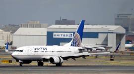 Dog dies in united airlines flight