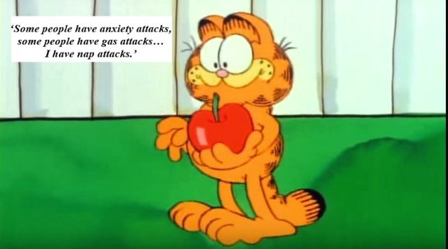 monday motivation, inspirational quotes, quotes about weekends, quotes from garfield, indian express, indian express news