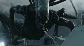 Alien Covenant, Alien Covenant movie, Alien Covenant movie review, Alien Covenant movie pics,