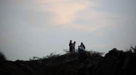 aravalli, aravalli range, Save Aravalli,Punjab Land Preservation Act 1990, Haryana Forest Department, Aravalli hills, Kikar tree, Mesquite tree, india news, latest news