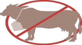 Pilibhit cops look for man who supplied 40 kg beef for wedding