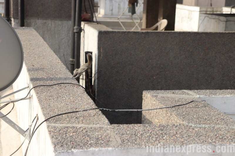 Canon EOS 800D review, Canon EOS 800D camera, Canon camera, Canon EOS 800D features, Canon 800D smart camera, Canon 800D price, Canon 800 specs, Canon 800D features, camera reviews