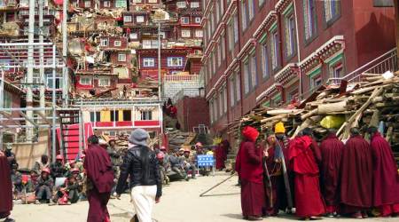 tibetan students banned from relgious activities, Tibetan buddhist, China, Tibet, Dalai Lama, Buddhism, Buddhist culture, World News, Indian Express