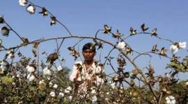 no title set no alt set