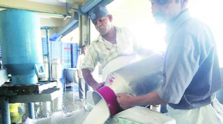 Uttar Pradesh Sweets and Milk news, cow-milk available as 'prasad', Uttar pradesh news, India news, National news