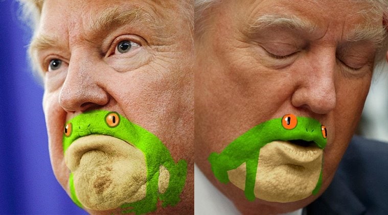 Somebody noticed Trump’s chin resembled a frog, results in hilarious