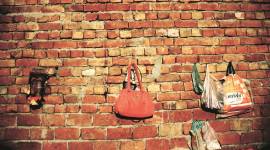 rape, rape abortion, minor rape, minor rape abortion, rohtak rape, rohtak gangrape, indian express news, india news