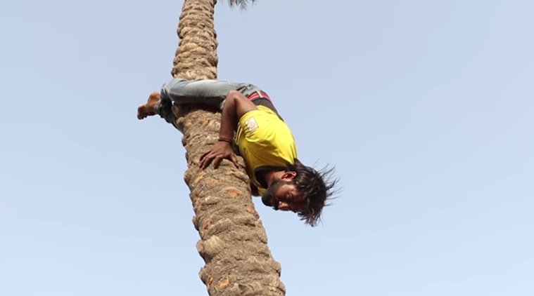 motivational videos, man climbing trees upside down video, ways to climb a tree, indian express, indian express news