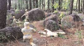 Kargil tableau, himachal Kargil tableau, chandigarh rock garden, Nek Chand, indian express news, punjab news