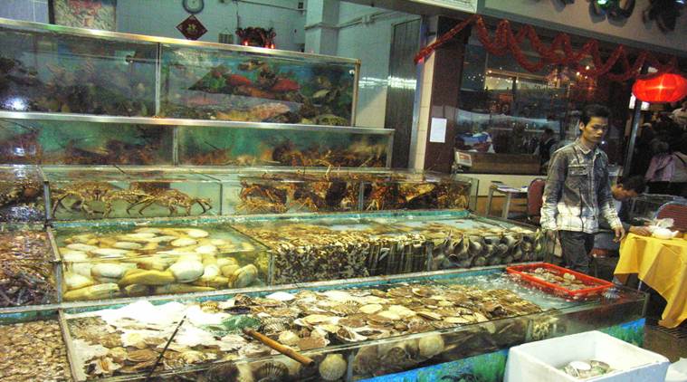 Chinese exports, China and Brazil, Chinese fish exports, china news, brazil news, brazil fish, indian express news, india news, latest news