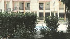 ias officer, delhi ias officer, delh ias officer suicide, delhi ias officer death, ias officer drowning, ashish dahiya drowning, india news