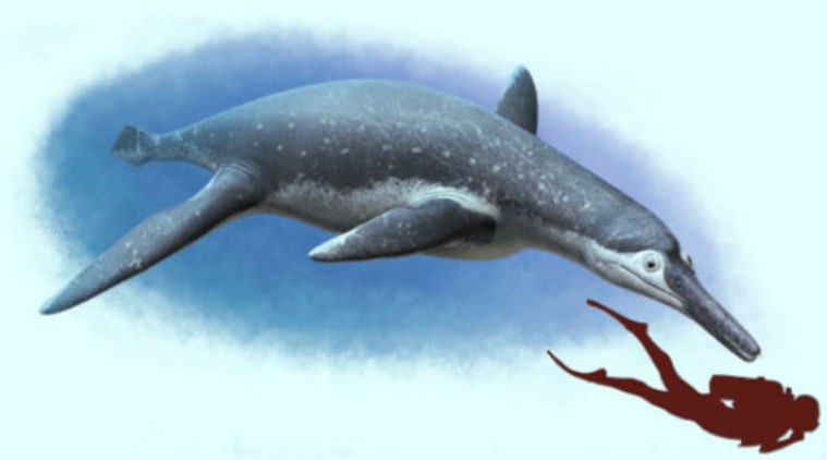 largest marine dinosaur