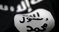 Up to 30,000 Islamic State members in Iraq, Syria: UN report