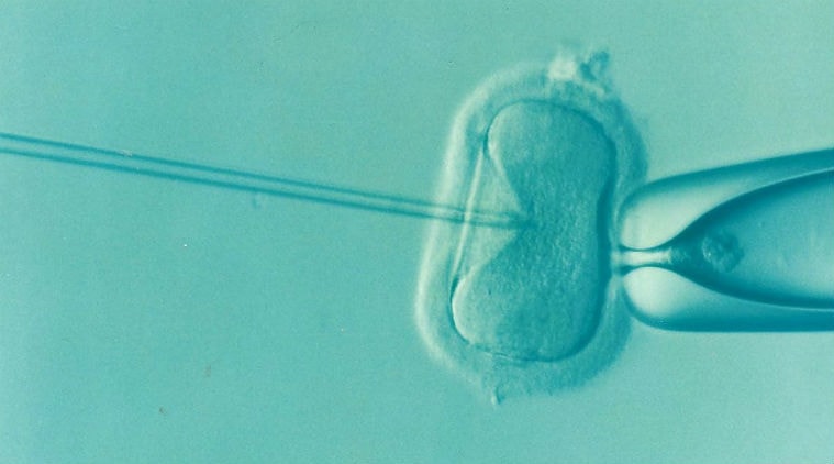  IVF, in-vitro fertilisation, assisted reproductive technologies, Assisted Reproductive Technology, SART, egg cryo preservation techniques, frozen donor eggs, introduction of IVF, Science, Science news