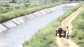 ja 759 Jat stir violence, Jat Violence, Munak canal breach, Chandigarh News, Indian express, Indian Express News, Jat agitation, jat quota