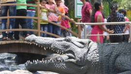 Veermata Jijabai Bhosale Udyan, Byculla Zoo, new enclosures in Byculla Zoo, BMC, mumbai zoo, maharashtra, indian zoo, indian express, india wildlife