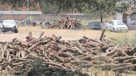 KHAIR221857DL0503 no alt set