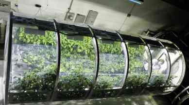 NASA scientists, inflatable greenhouse, deployable greenhouse,International Space station, Deep space missions, Martian landing site, Prototype Lunar Greenhouse, ISRU, NASA, lunar, martian surface, Sadler Machine company, Science, Science news