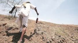 open defecation free maharashtra, swachh maharashtra mission, swachh bharat mission, maharashtra news, indian express