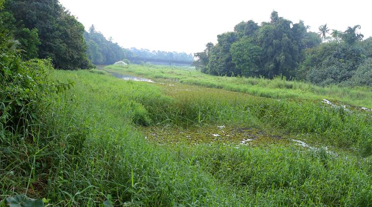 kerala river resuscitated, budhnoor gram panchayat, dead river regenerated, kerala news, kuttemperoor river, kuttemperoor rejuvenated, vishwambar panicker, river regeneration, indian express news, kerala river revived