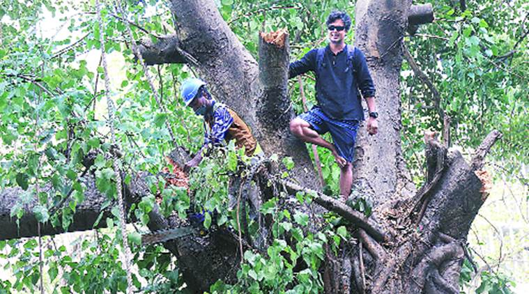 Mumbai environment activists, Mumbai environment activists protest, Mumbai metro 3 construction, Mumbai metro, MMRC, indian express news