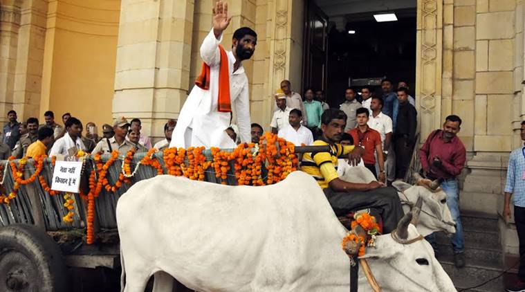 Jawahar Lal Rajpoot, bjp mla, bullock cart, uttar pradesh assembly session