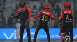 ipl 2017, ipl, dd vs rcb, delhi vs bangalore, bangalore vs delhi, virat kohli, kohli, ipl cricket, ipl score, cricket news, ipl news, cricket, indian express