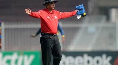 India's Ravi in ICC panel of umpires for World Cup - Rediff.com