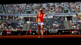 maria sharapova, maria sharapova wild card, sharapova wild card french open, roland garros, french open wild cards, sharapova doping, sharapova doping return, tennis news, french open news, sports news, indian express