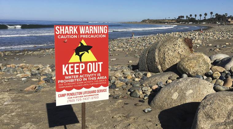 Woman critical after shark attack on California beach | World News ...