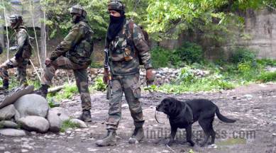 kashmir, kashmir news, kashmir terrorists, kashmir militants, jammu and kashmir, jammu kashmir police, search operation kashmir, india news