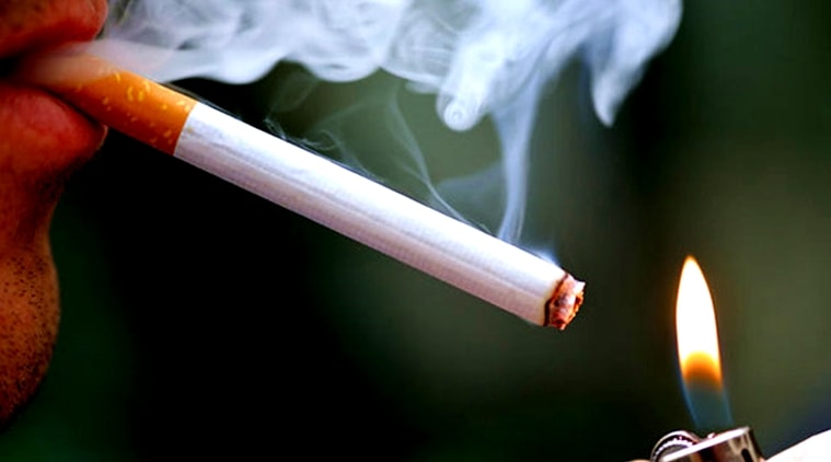 tobacco pipe styles Different Tobacco Smoking Pipe Types: Shapes, Styles & Materials