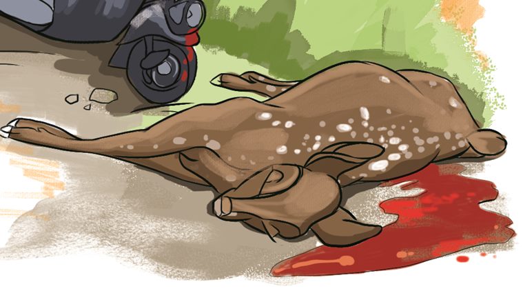 spotted deer, Spotted deer accident, spotted deer death, mumbai spotted deer, mumbai news, indian express news