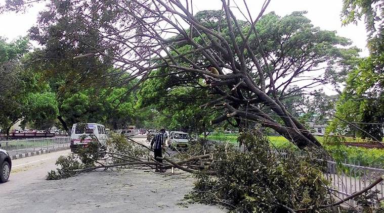 Six die, 2,500 houses damaged in thunder-storm across Assam | India ...