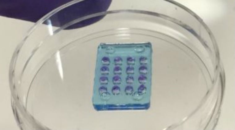 synthethic soft tissue retina, help visually impaired people, artificial retinas, synthetic tissues, bionic plant industry, degenerative eye conditions, made from biodegradable materials, biological synthetic plant, bioic implant, Science, Science news