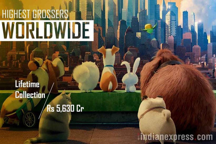 The Secret Life of Pets, The Secret Life of Pets collection, The Secret Life of Pets box office collection, The Secret Life of Pets pics