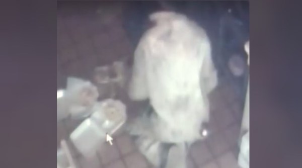 burglary videos,funny burglary videos, thief breaks into a restaurant and cooks, indian express, indian express news