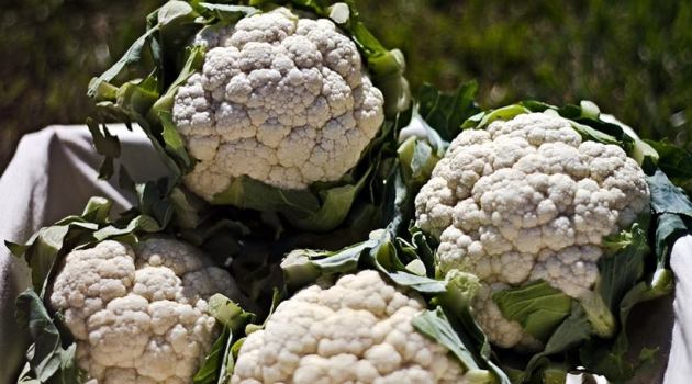 fruits that will hydrate you, veegtables that will hydrate you, foods you must have in summer, ways to not get dehydrated, indian express, indian express news