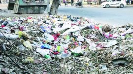 Maharashtra news, National Green Tribunal, the Maharashtra Pollution Control Board, Mira Bhayander Municipal Corporation, dry and wet garbage