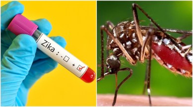 Zika virus, zika virus infection, zika virus disease, zika virus medicine, zika symptoms, zika prevention, health, health and fitness, medicines for infection, latest on health, research on zika, indian express, indian express news