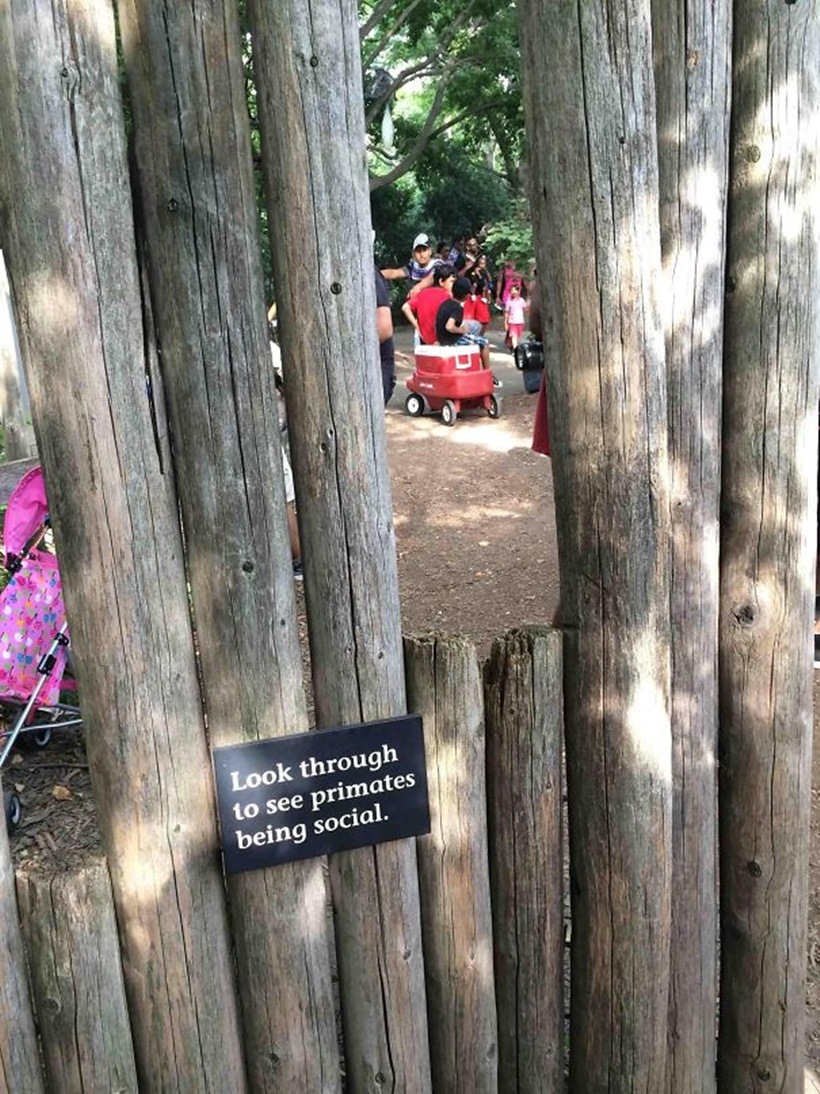 funny signs, zoo, zoo signs, funny signboards, funny zoo signboards, zoo hilarious signs, hilarious signboards, sarcastic signboards, viral news, indian express, trending news, funny news