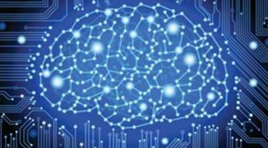 AI, Artificial Intelligence, University of Adelaide, medical imaging, biological age, health of each organ