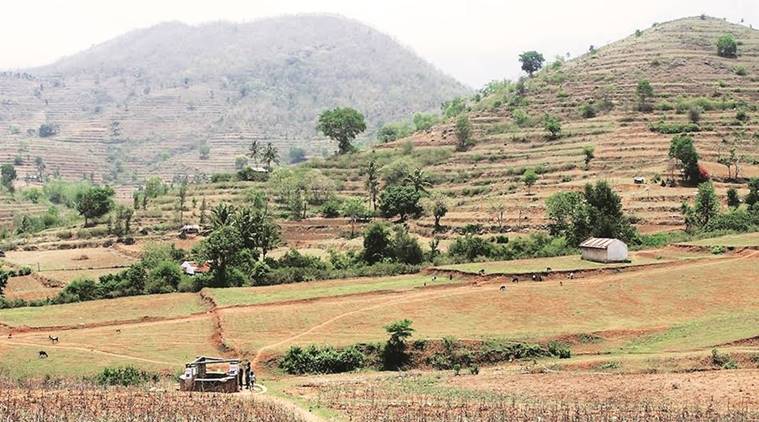 kerala, attappady, infant deaths