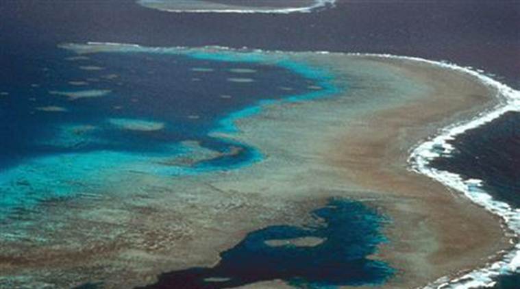 Bleaching on Great Barrier Reef more widespread than ever 