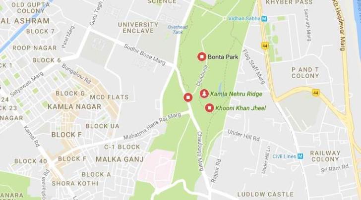 delhi man kills wife, north delhi murder, delhi murder, man kills wife delhi, delhi news, indian express news