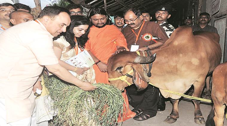 cow slaughter, subhramanian swamy, gau rakha, cow tax, beef ban 