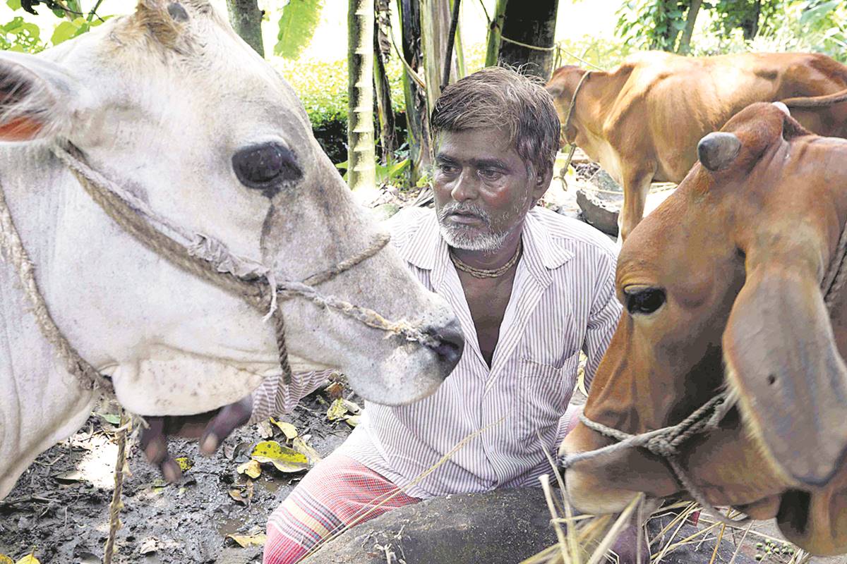 bengal lynching, lynching in bengal, cattle thieves, cow smuggling, cow protection, north dinajpur, muslim youths, india news, indian express