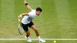 WTA Premier – Aegon International wimbledon 2017, novak djokovic, andy murray, murray vs djokovic